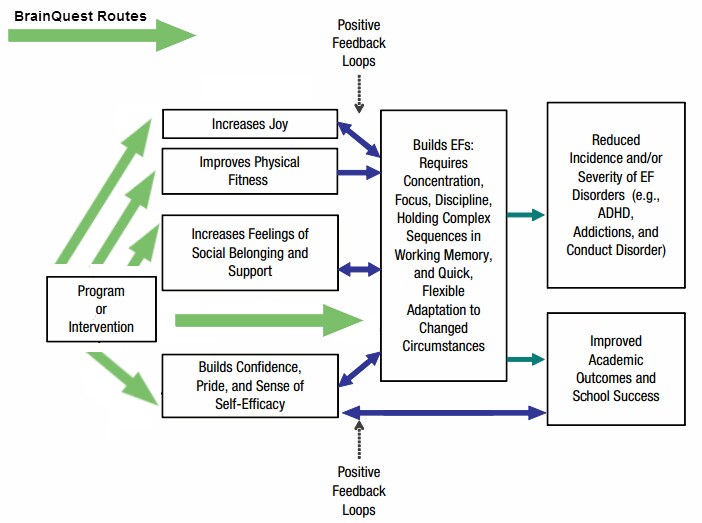 Diagram of BrainQuest's hypothesised routes to executive function development via joy, fitness, belonging and self-efficacy