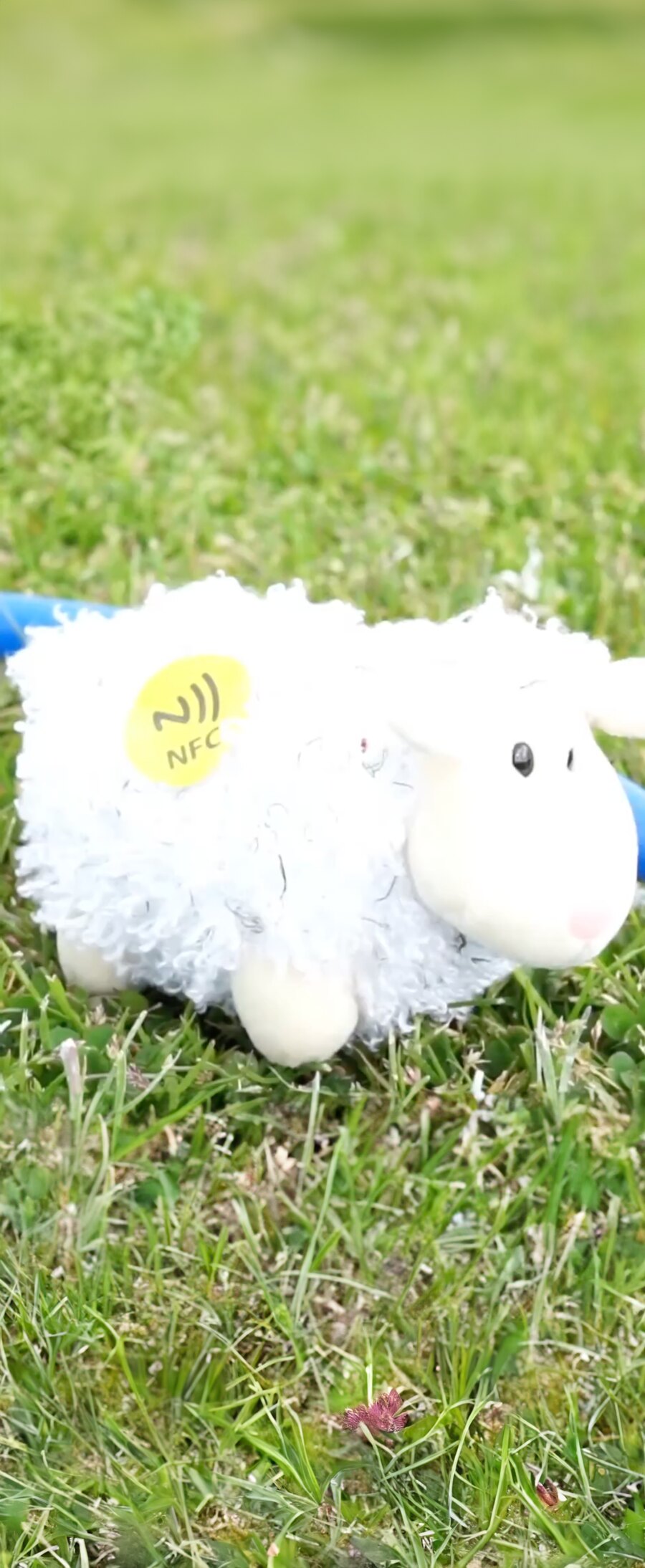 A plush sheep game piece embedded with an NFC tag, used as a tangible object in BrainQuest